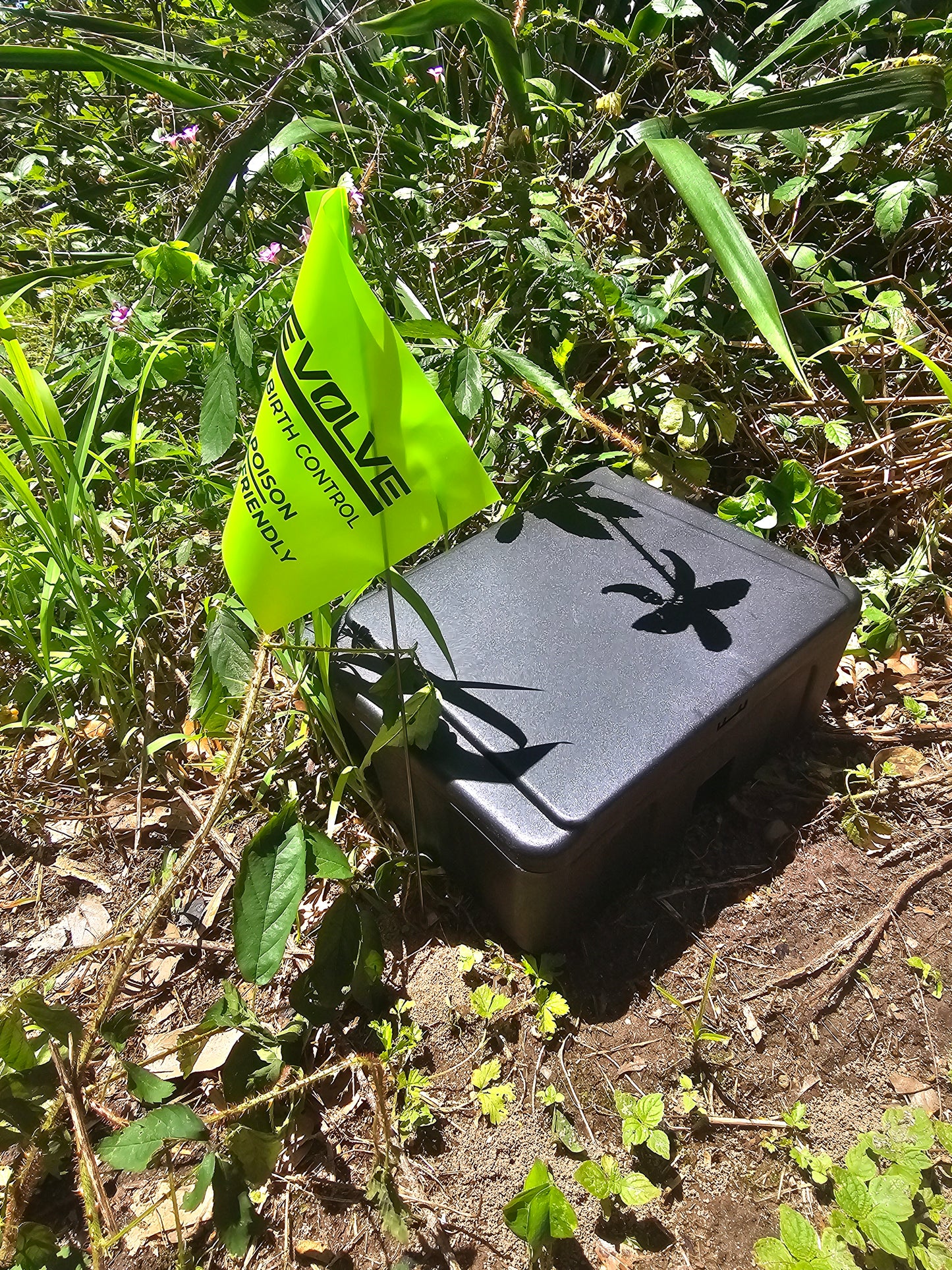 Evolve Rat Marking Flags