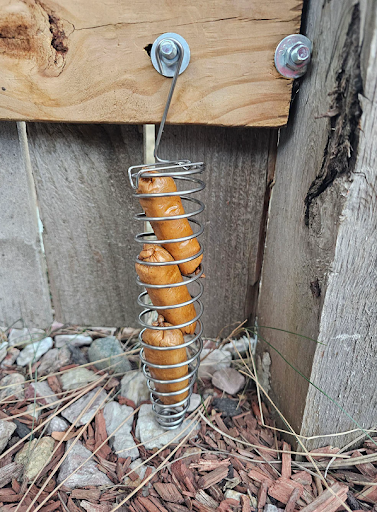 Humane mouse control