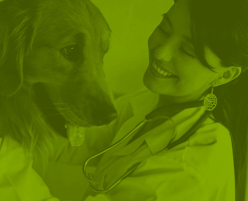 Female veterinarian wearing a stethoscope and petting a dog.