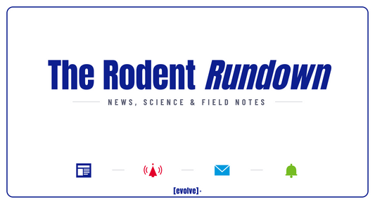 What Is Hantavirus — and Why Are Rodents at the Center of It?