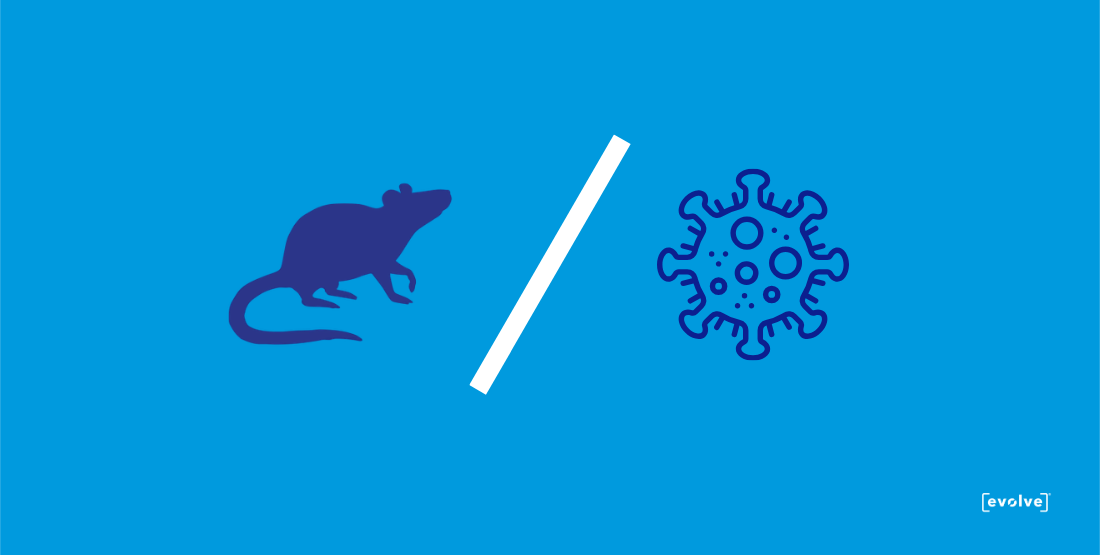 Rodents and Disease: Why Population Management Is a Public Health Tool, Not Just Pest Control