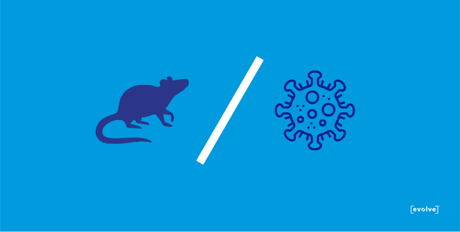 Rodents and Disease: Why Population Management Is a Public Health Tool, Not Just Pest Control