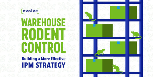 Building a more effective IPM Strategy for Warehouse Rodent Control