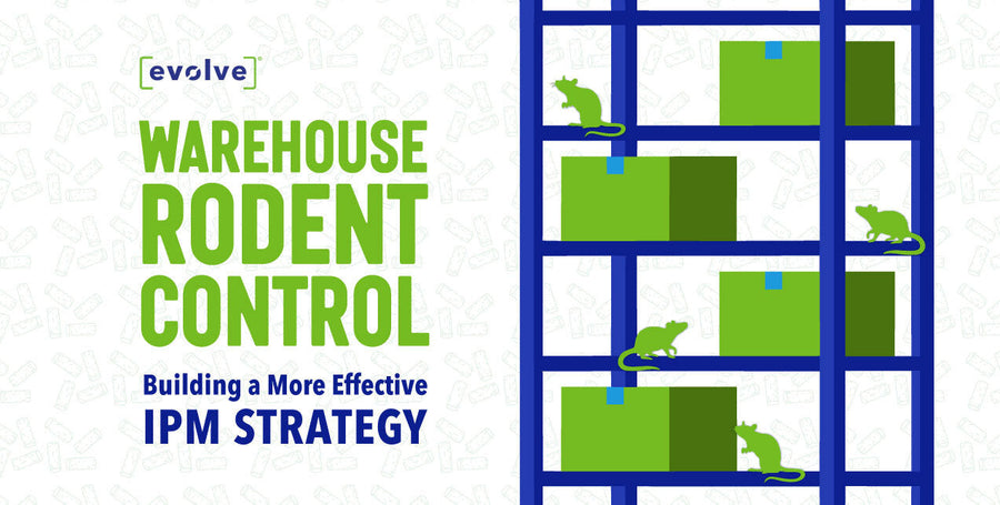 Warehouse Rodent Control: Building a More Effective IPM Strategy
