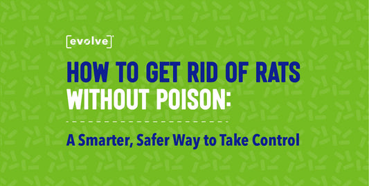 How to Get Rid of Rats Without Poison with Evolve®