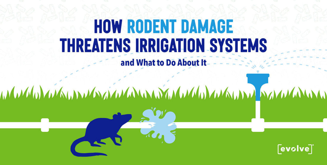 Rodents Damage Irrigation Systems Blog Graphic