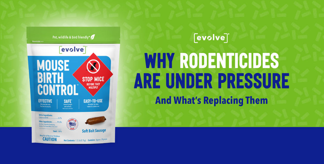 Why Rodenticides Are Under Pressure — And What's Replacing Them blog by SenesTech