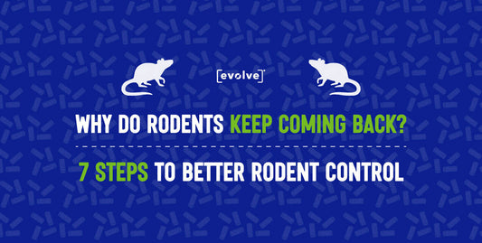 7 Steps to Stop a Rodent Infestation: Why Do Rodents Keep Coming Back? SenesTech Blog