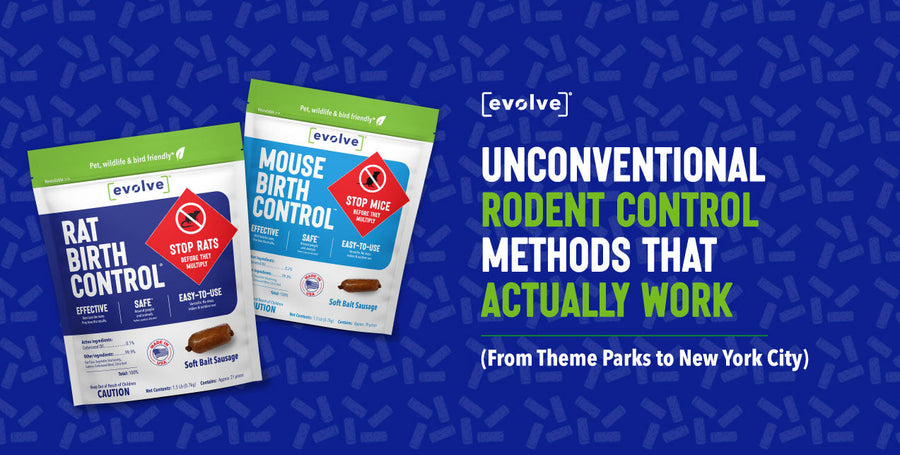 7 Unconventional Rodent Control Methods That Actually Work (From Theme Parks to New York City)