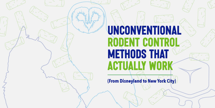 Unconventional Rodent Control Methods That Actually Work (From Disneyland to New York City)