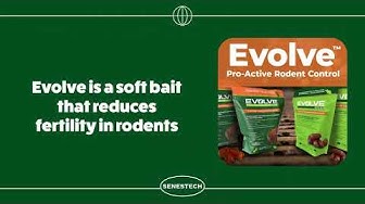 Evolve Soft Bait - Fertility Control for Rodents