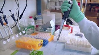Introducing ContraPest®—Birth Control for Rats