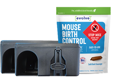 XL Starter Kit, Evolve® Mouse Birth Control - 6 lb. (2.7 kg)
