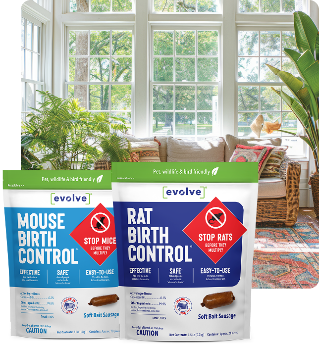 Take Control of Rats & Mice with Evolve Rodent Birth Control