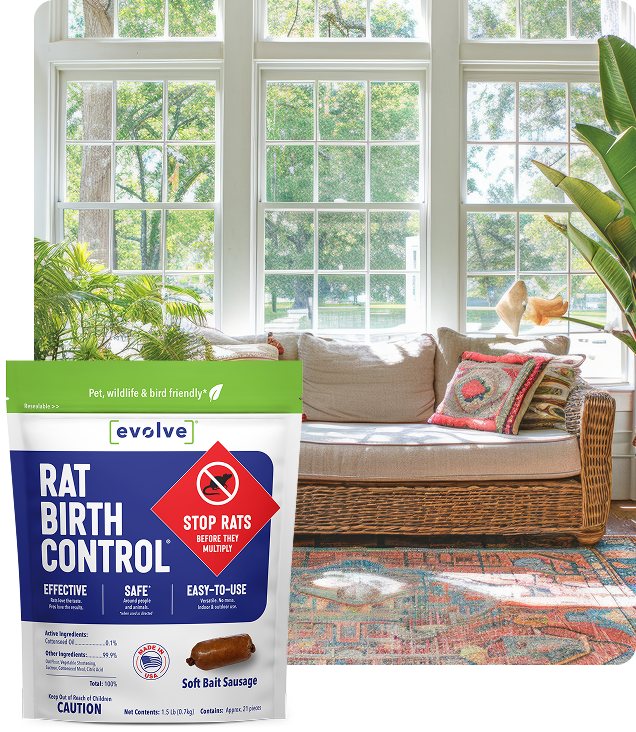 Take Control of Rat Activity with Evolve Rat Birth Control