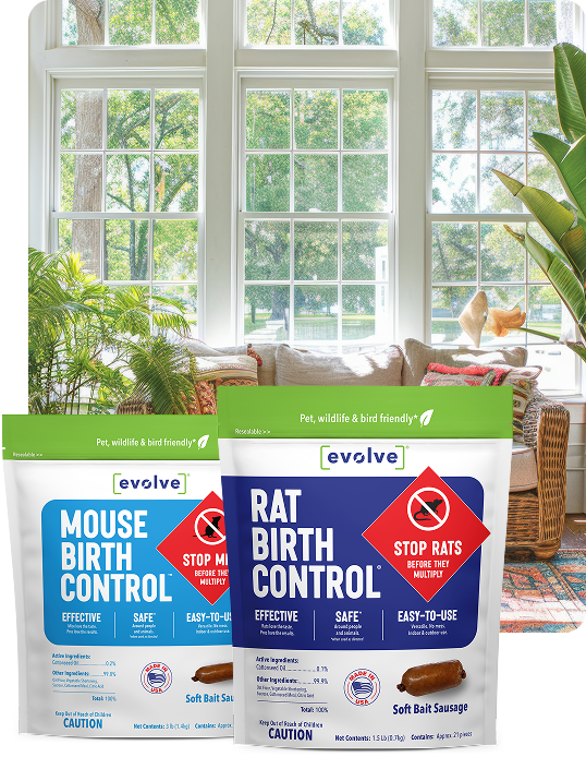 So What is Rodent Birth Control?
