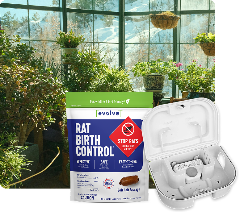 RAT Birth Control Starter Kits