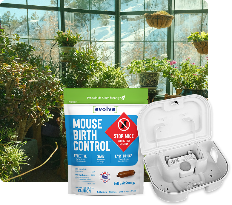 Mouse Birth Control Starter Kits