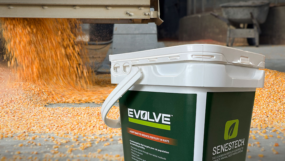 Plastic tub of Evolve Soft Bait in an agricultural (grain) environment.