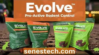 Evolve™ Soft Bait - Stop Rodent Infestations before...