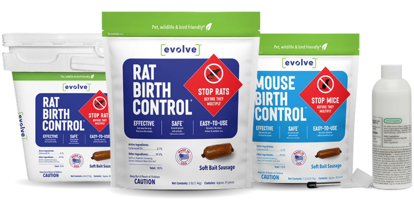 RODENT BIRTH CONTROL