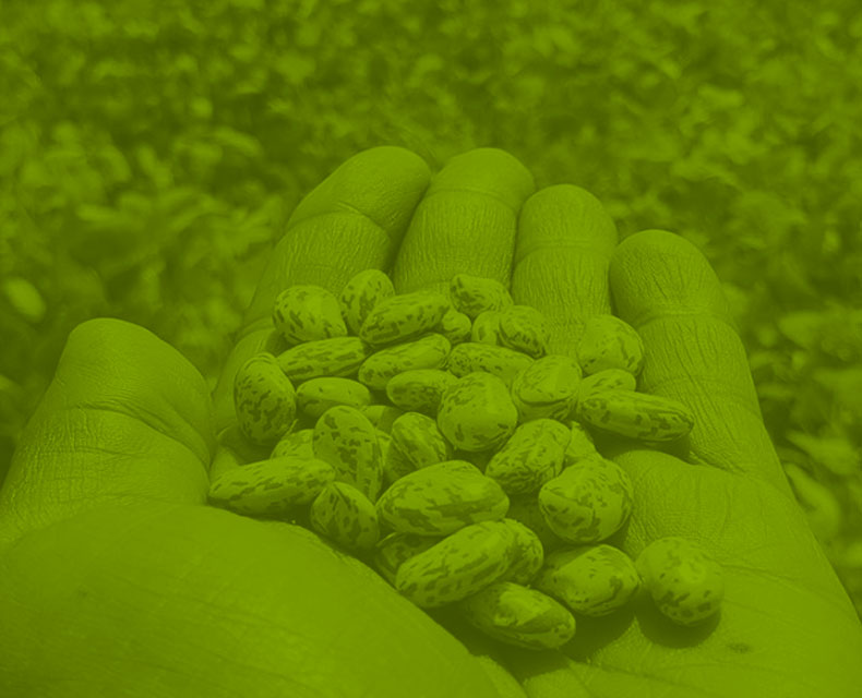 Natural Ingredients Base